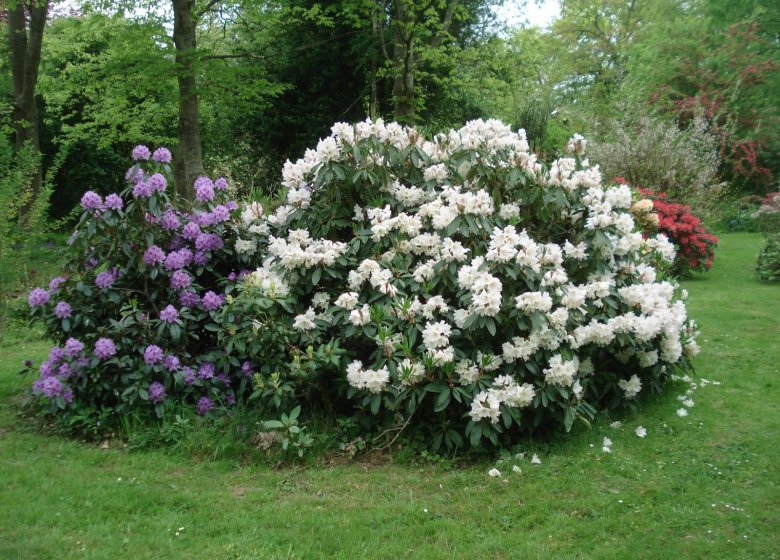 Jardin de la Vallée