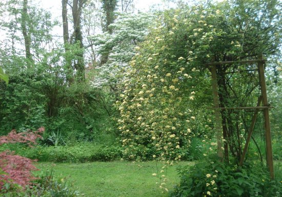 Jardin de la Vallée