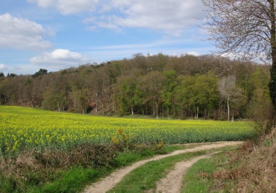 Chemin de l’arboretum