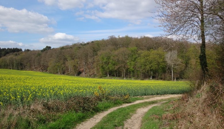 Chemin de l’arboretum