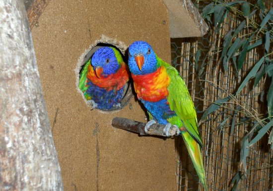 Ferme nature « Chez Poly »