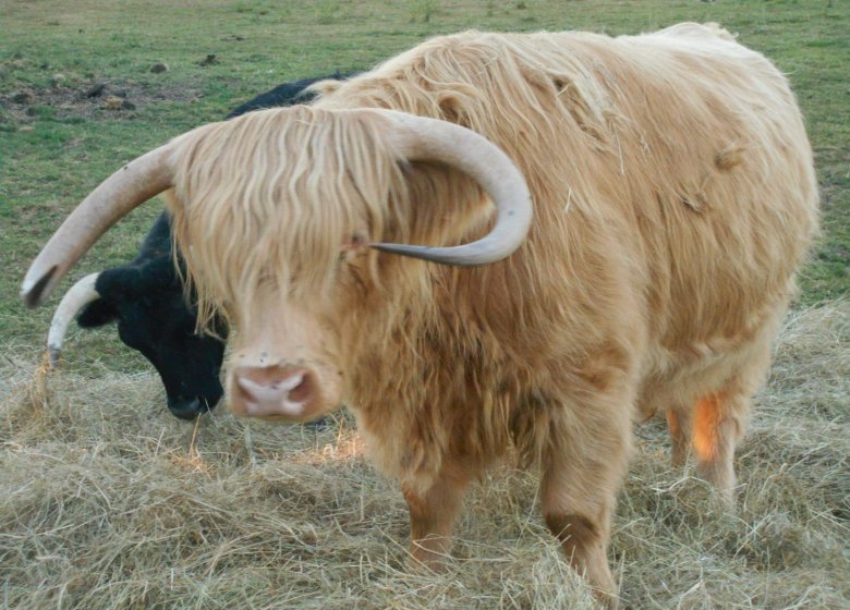 Ferme nature « Chez Poly »