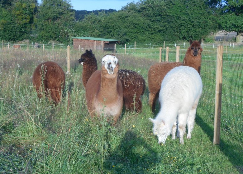 Ferme nature « Chez Poly »