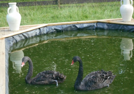 Ferme nature « Chez Poly »