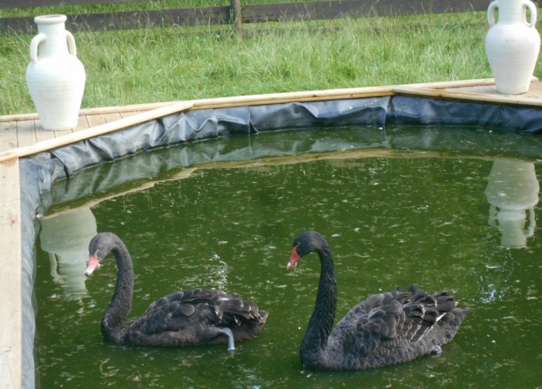 Ferme nature « Chez Poly »