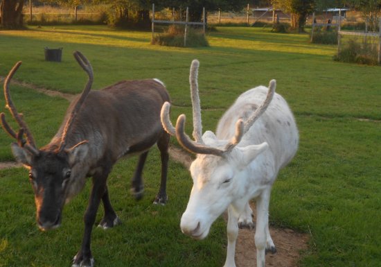 Ferme nature « Chez Poly »