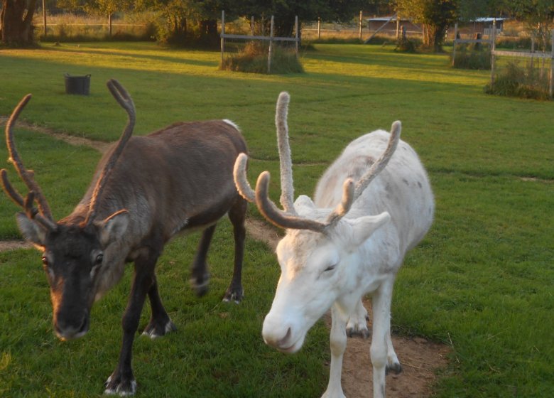 Ferme nature « Chez Poly »