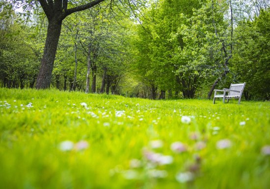 Arboretum d’Harcourt