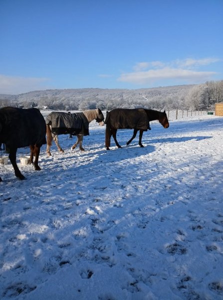 Elevage des coteaux de Seine – La Mare Hermier