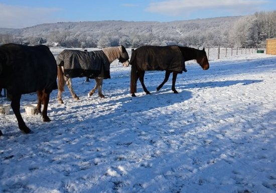 Elevage des coteaux de Seine – La Mare Hermier