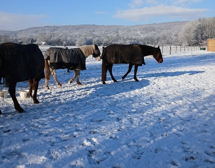Elevage des coteaux de Seine – La Mare Hermier