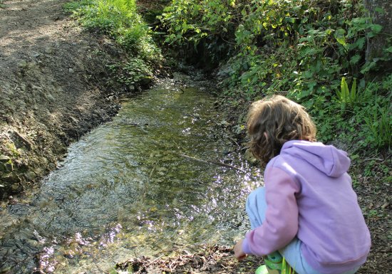 Chemin du Caillou Marais