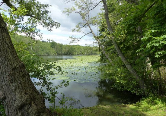 Espace Naturel Départemental : Le Sentier du Héron