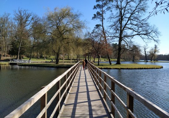 Espace Naturel Départemental : Le Sentier du Héron
