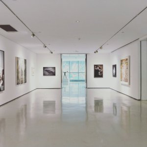 ©unsplash Exposition : Thomas Boîteux