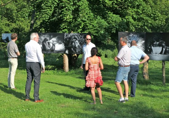 Festival Photo Martagny