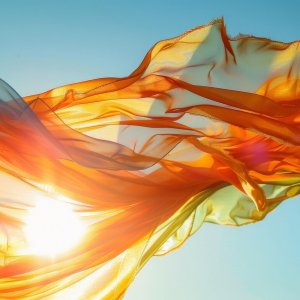 La Folk Journée – 21ème édition “Aux Quatre vents”