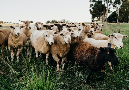 Ferme des Vieilles Maisons