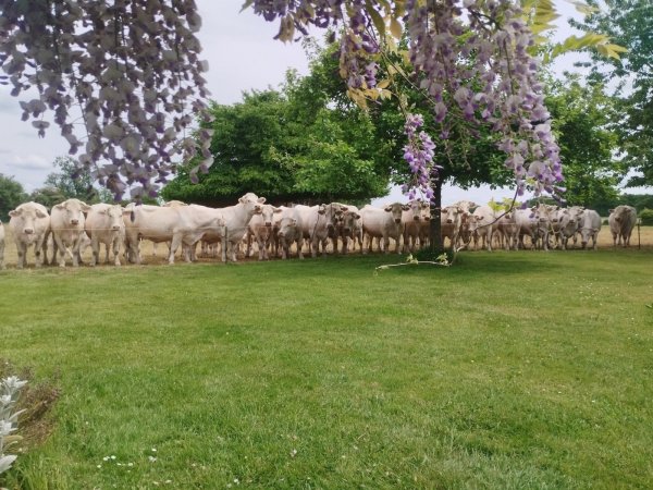 La Ferme de l&rsquo;Eglise