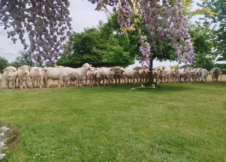 La Ferme de l’Eglise