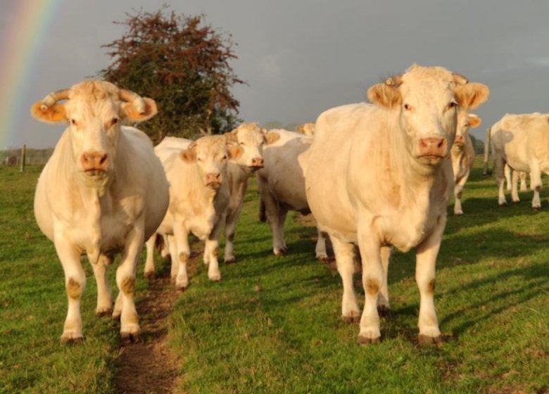 La Ferme de l’Eglise
