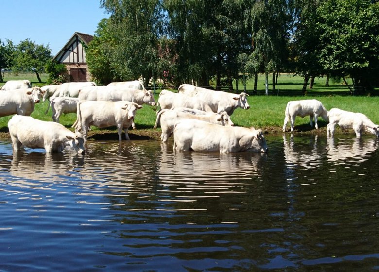 La Ferme de l’Eglise
