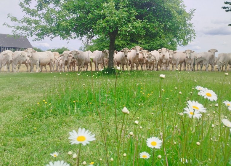 La Ferme de l’Eglise