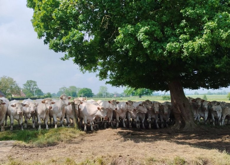 La Ferme de l’Eglise