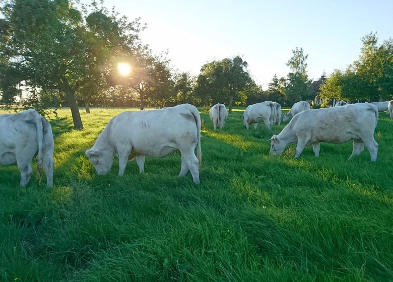 La Ferme de l’Eglise