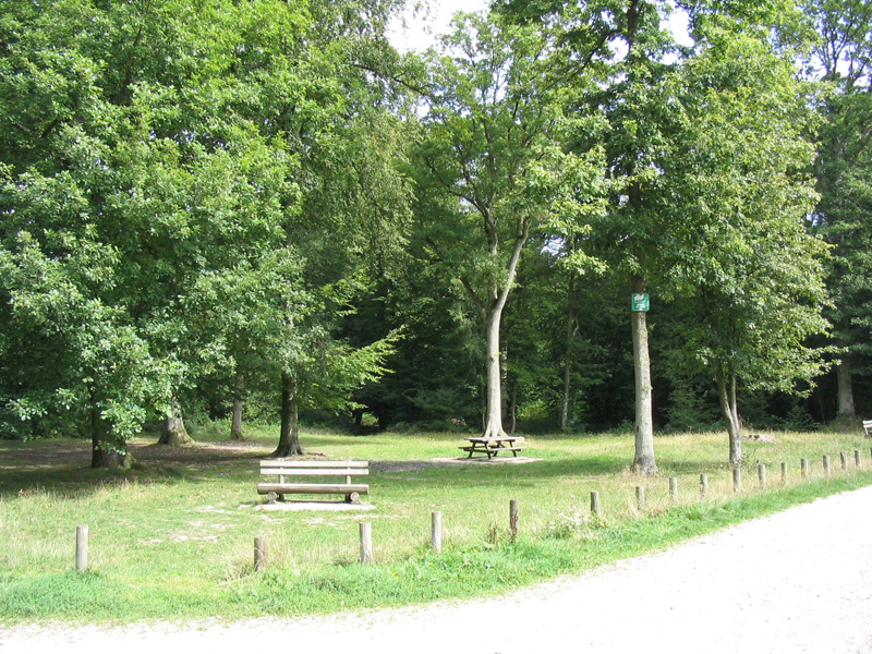 Forêt domaniale de Bord-Louviers
