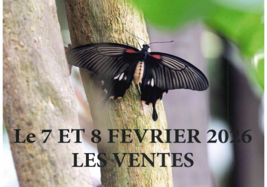 Expo Photographique à la Salle des fêtes des Ventes