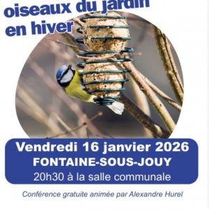 Atelier : Apprenez à reconnaître les oiseaux du jardin en hiver.