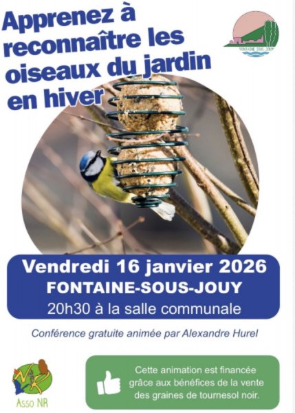 Atelier : Apprenez à reconnaître les oiseaux du jardin en hiver.