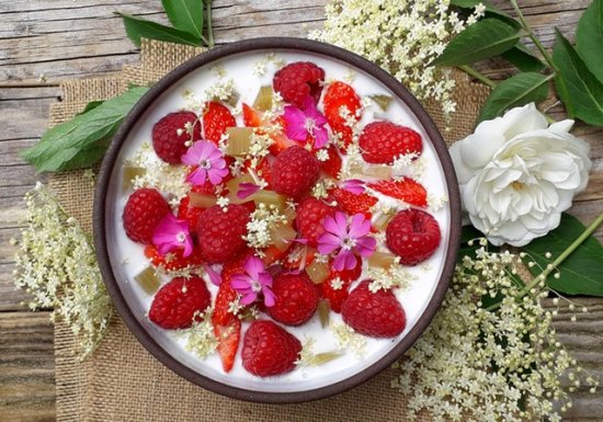 Je cuisine mon jardin