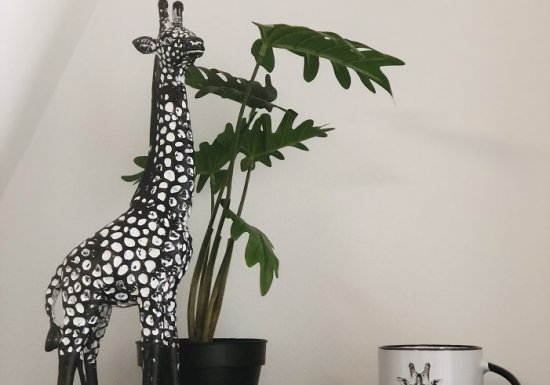 Gubri Gîte de la Girafe