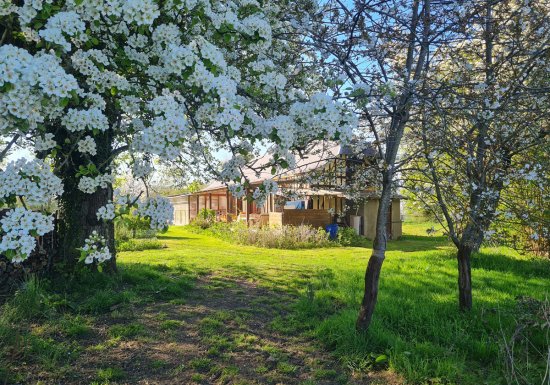 La petite ferme des ifs