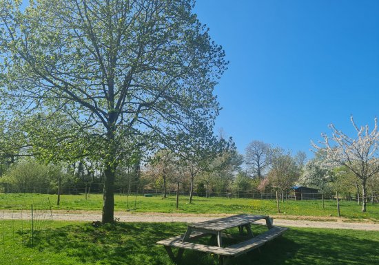 La petite ferme des ifs