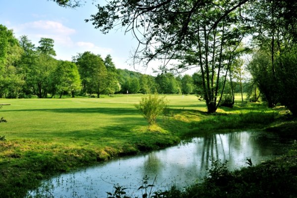 Les prés humides de la Charentonne
