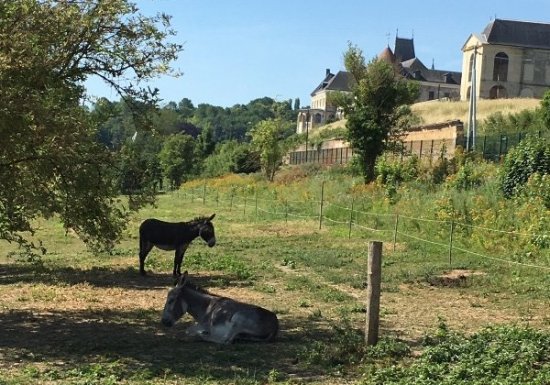 Gîte – Le logis des clos