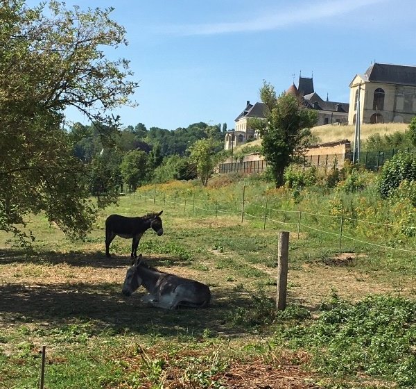 Gîte – Le logis des clos