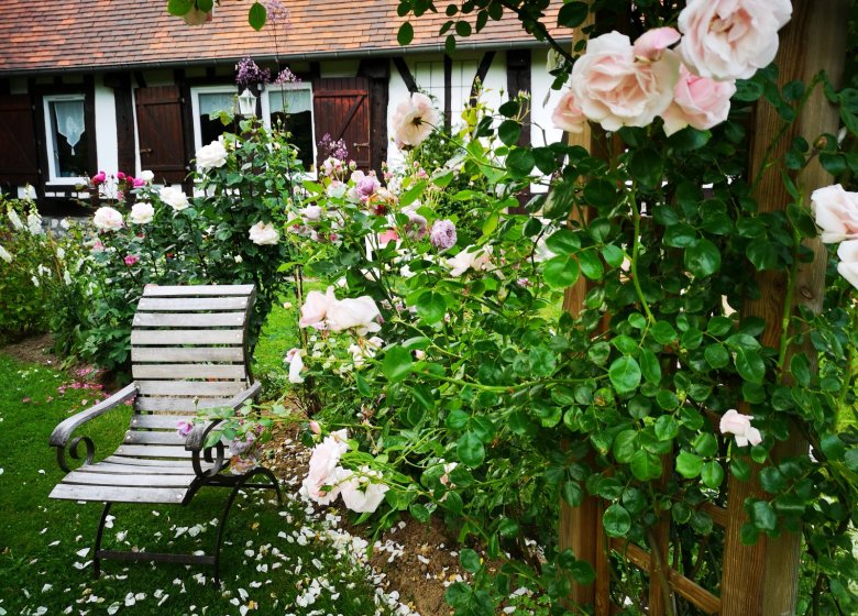 Nigelles entre Risle et Abbayes