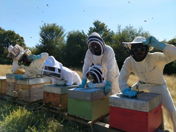 Rucher pedagogique des Authieux