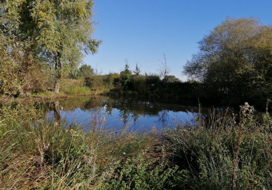 Les mares de Beaumesnil