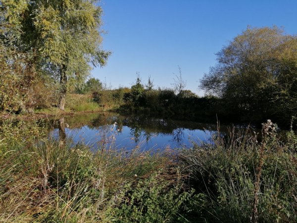 Les mares de Beaumesnil