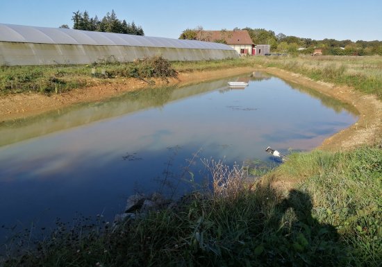 Les mares de Beaumesnil