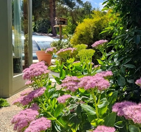 Gîte de L’escale nature Cailly sur Eure