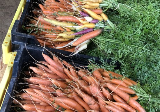 Ferme de la Mare des Rufaux