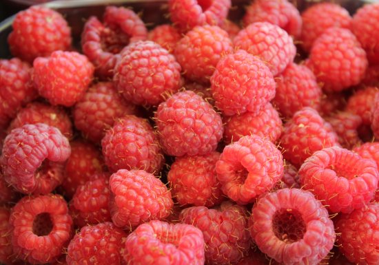 Domaine du Framboisier Le Domaine du Framboisier