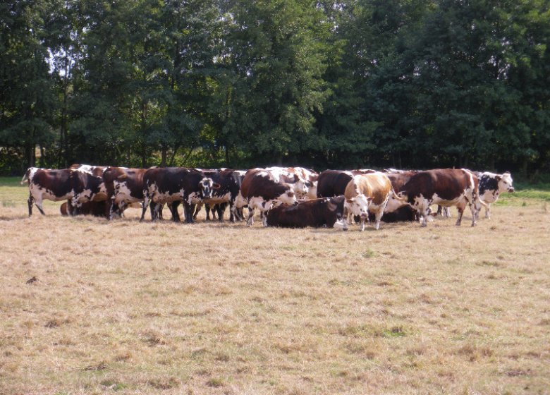 La Ferme du Puiseau