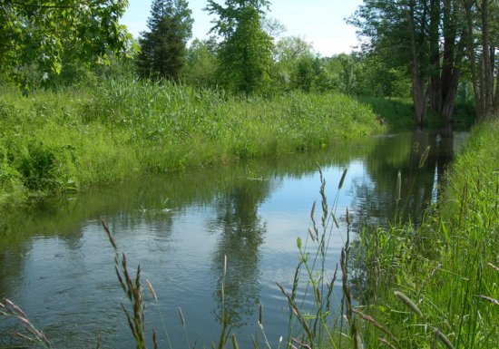 Que lit-on dans le lit de l&rsquo;Iton ?